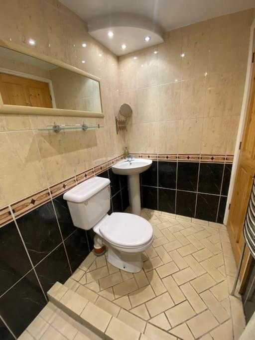 Dog Friendly Close To The And The Town