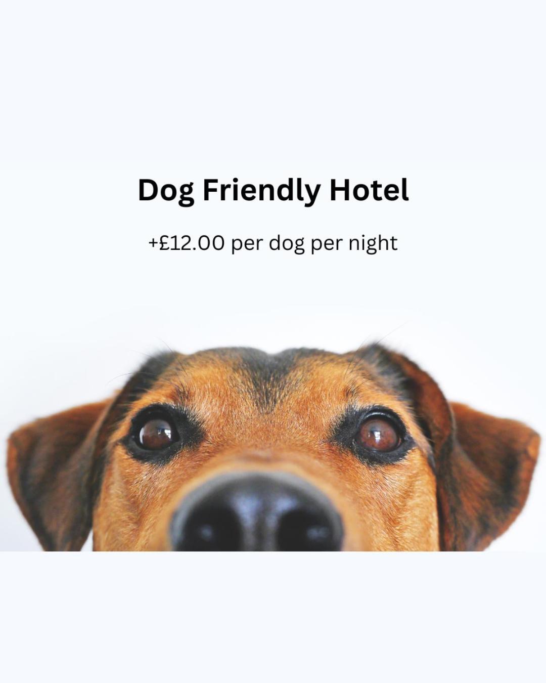 Hotel Ashton Court Exmouth