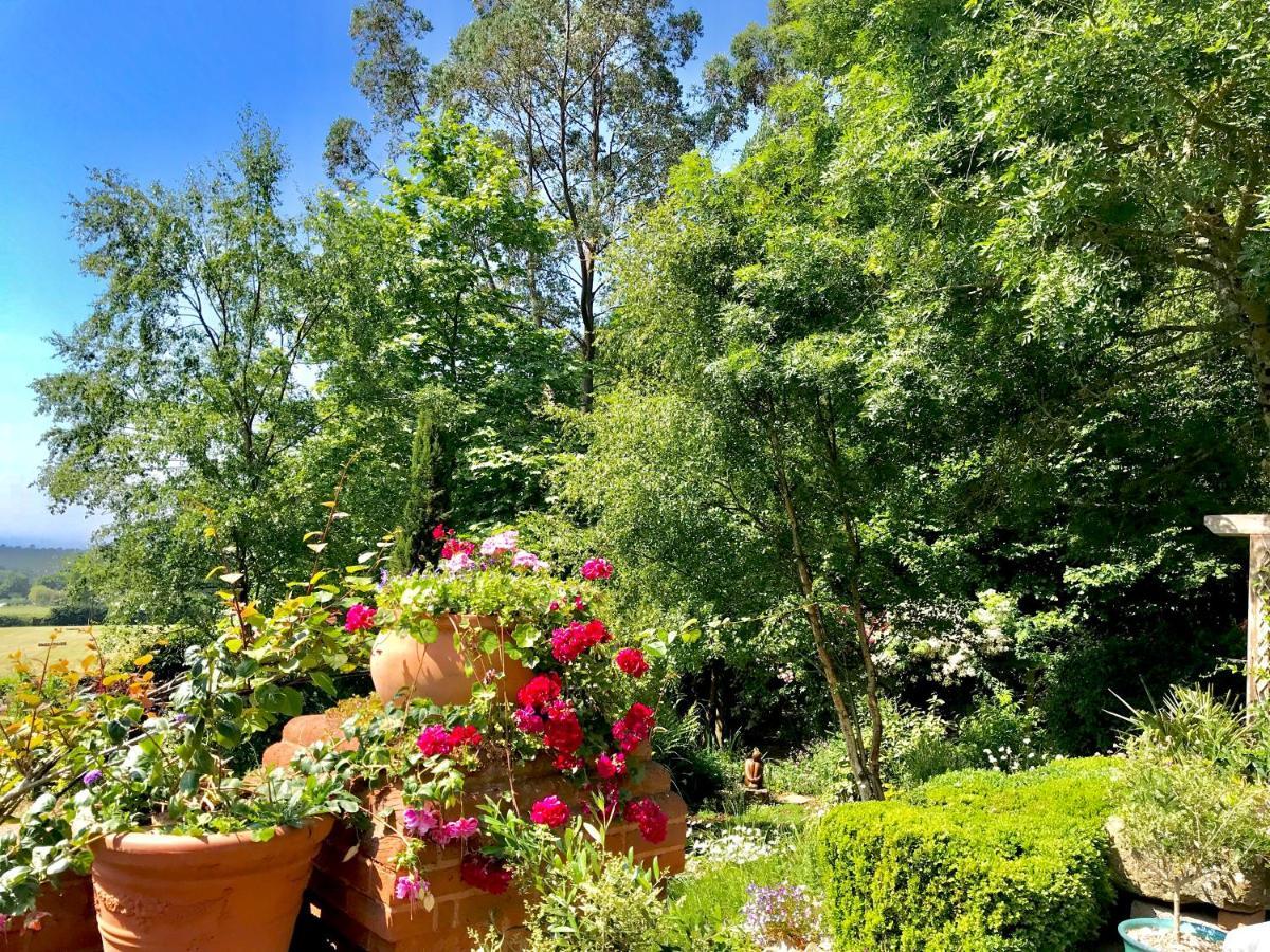 Seven Acre Corner Bed & Breakfast *