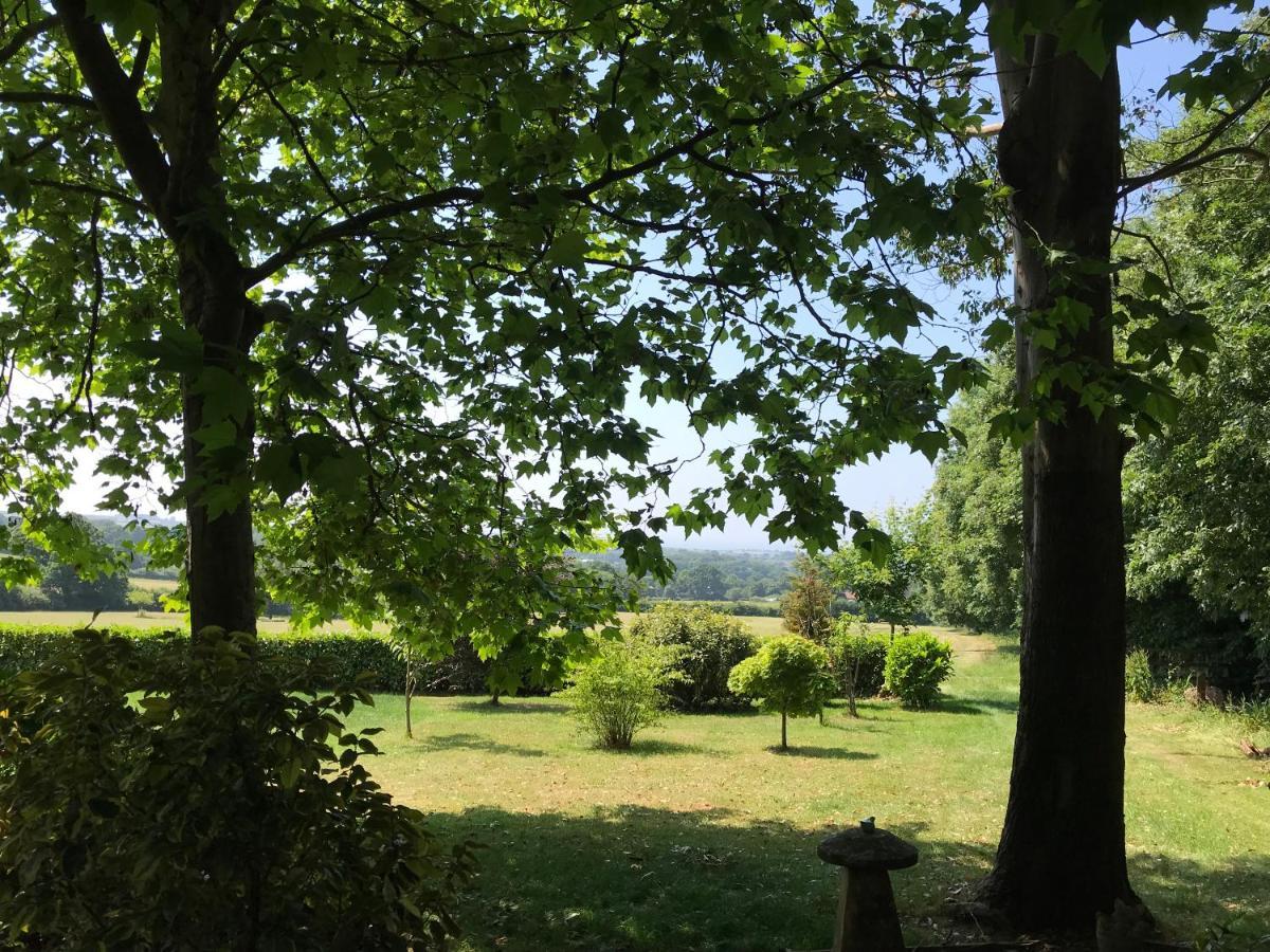Seven Acre Corner Bed & Breakfast