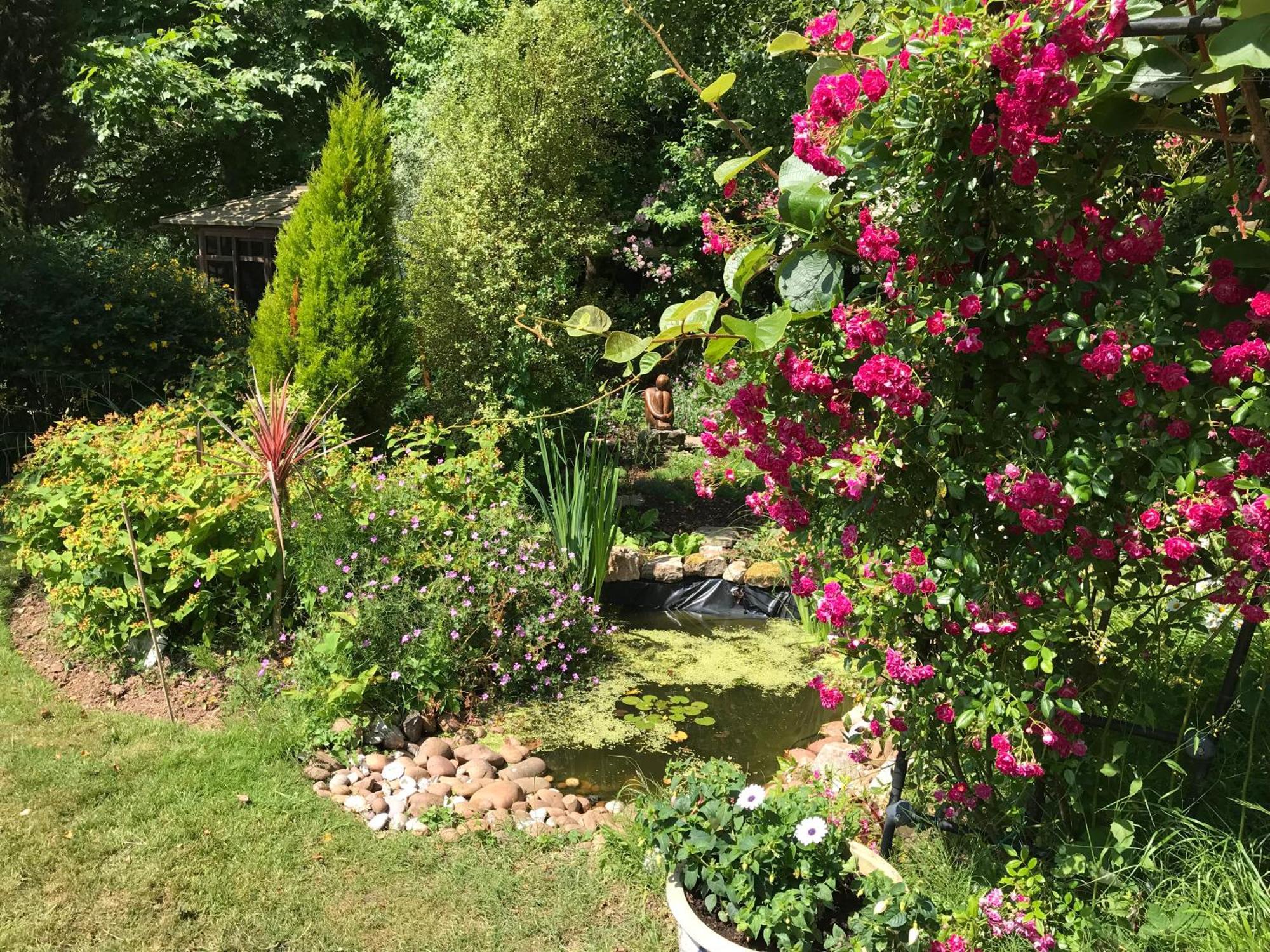 Seven Acre Corner Bed & Breakfast *