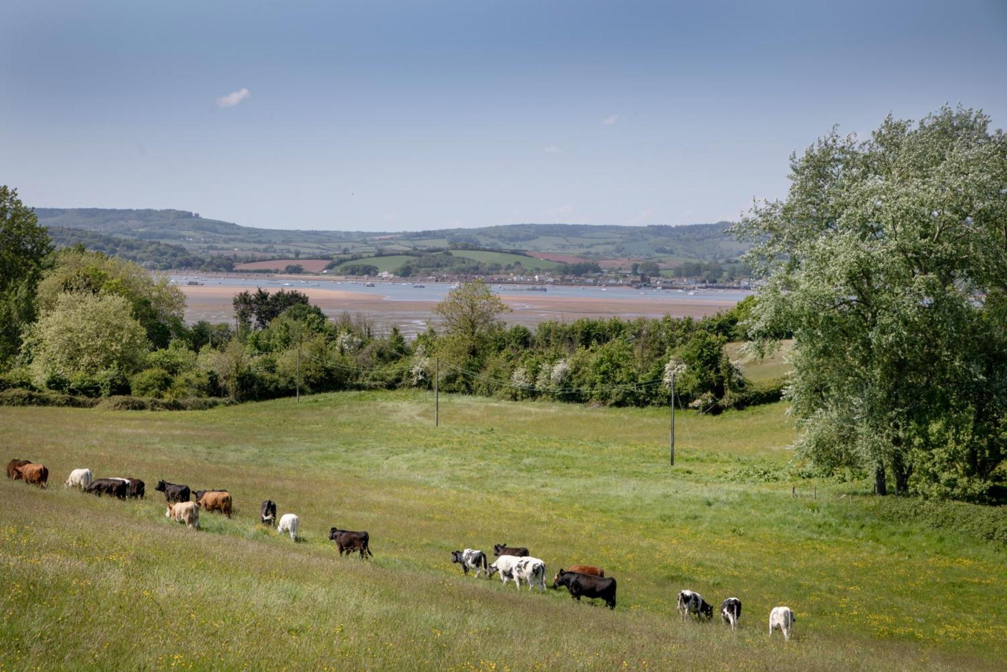 Lark Rise Holiday home Exmouth